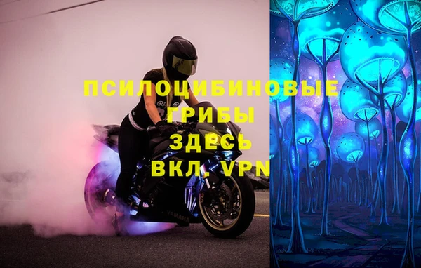ALPHA-PVP Медногорск